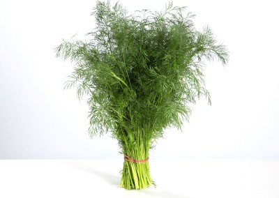 Dill, knippe
